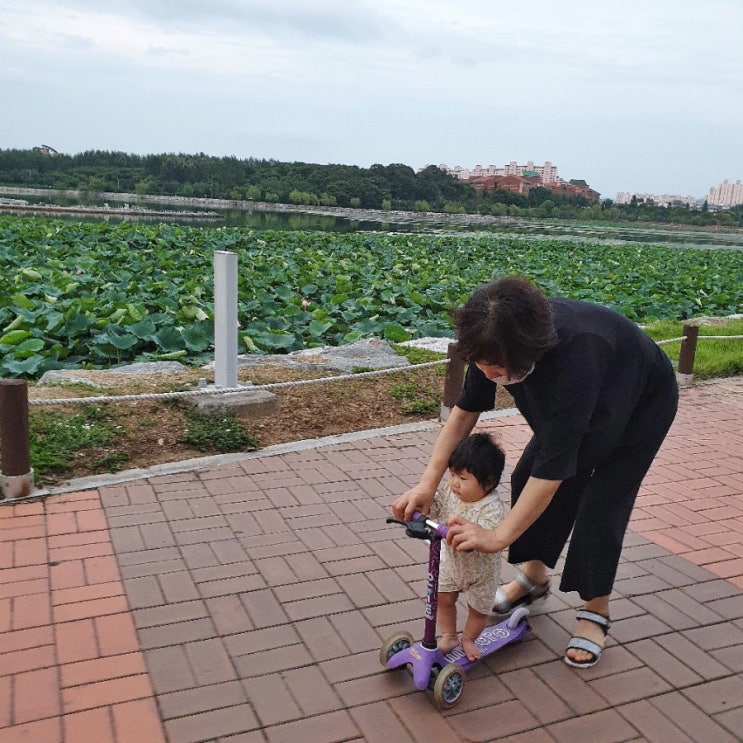  200일 멧지의 아기 성장발달 기록 - 윗니, 잡고 일어서기, 이유식