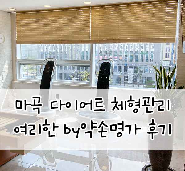  마곡 다이어트::여리한 by 약손명가 수기관리 다이어트 후기