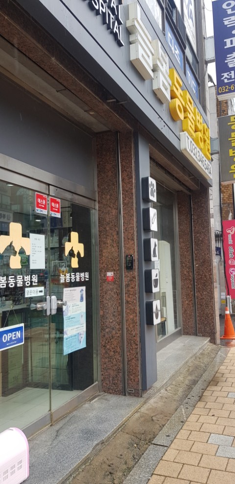  소사동물병원,늘봄동물병원 과잉진료없는동물병원