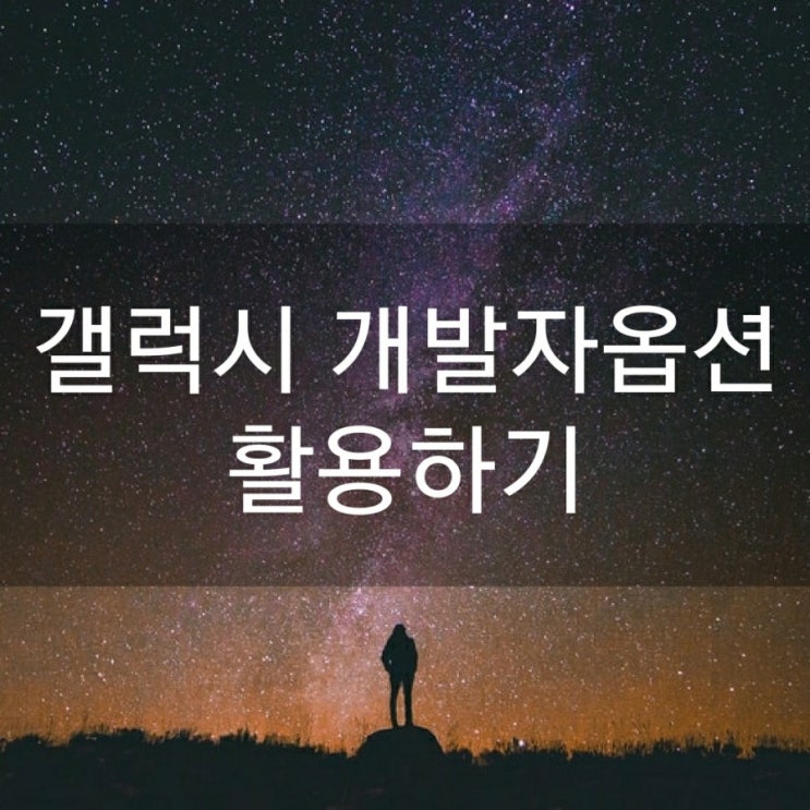  갤럭시 개발자옵션 활용하기