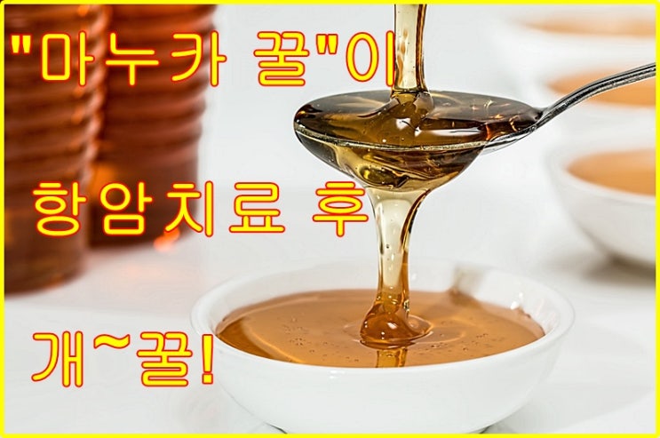 마누카 꿀이야 말로 항암치료 하는 사람들의 위장 건강을 지켜줄 수 있다.