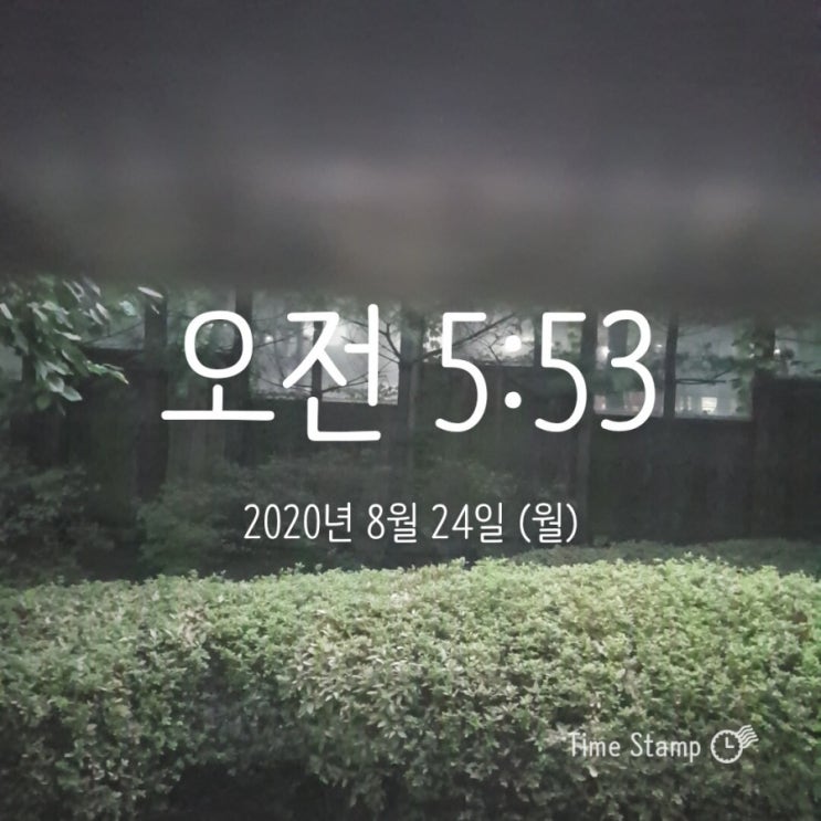  미라클모닝 ㅡ 모모0824-월든