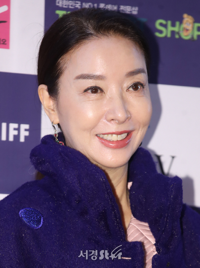  김보연 전남편 직업 나이차이 전노민 이혼 사유 이유 전부인 아내 결혼 재혼 첫번째 자녀 딸 인스타 고향 리즈