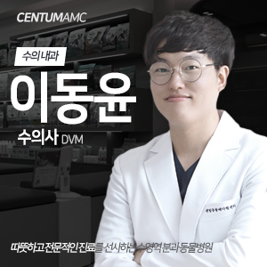  [내과 전문 클리닉] 이동윤 수의사