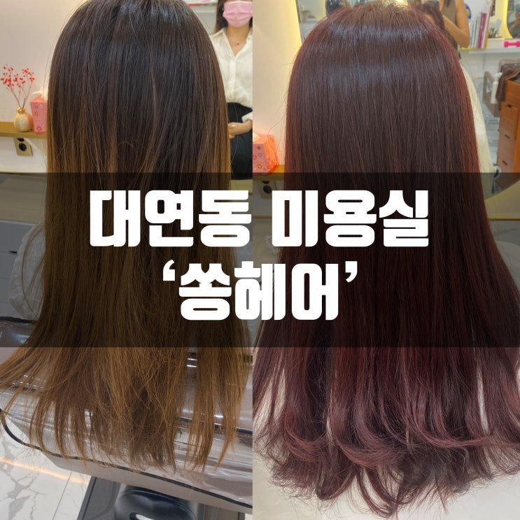  경성대 미용실 쏭헤어에서 염색하고 왔어요!