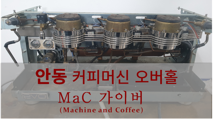  <안동커피머신 오버홀> 달라꼬르떼 에보2 3그룹 오버홀 / 보링
