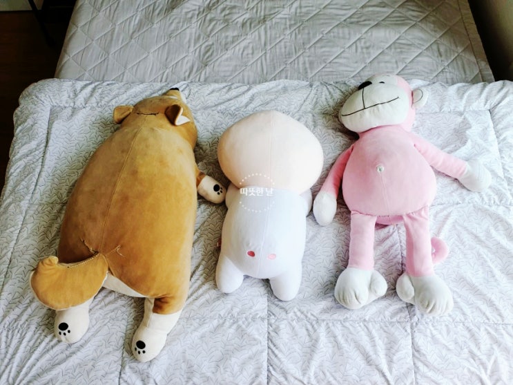  어른이의  애착인형, 어쩌다 프랑켄슈타인 된 사연