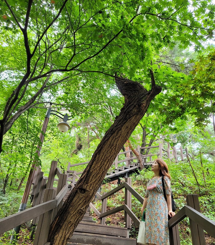 서촌 - 인왕산 둘레길 - 부암동 산책하기 좋은 데이트 코스