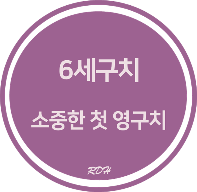  6세 구치 :: 소중한 첫 영구치