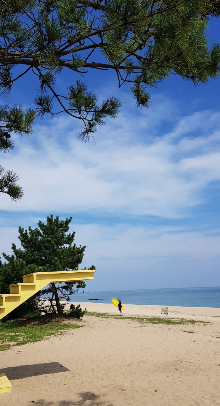  강릉 가볼만한곳 강문해변 천국의계단  강릉 밀탑빙수에서 시원한 팥빙수까지