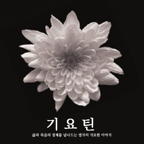  한여름 밤의 공포, 도시괴담 기요틴