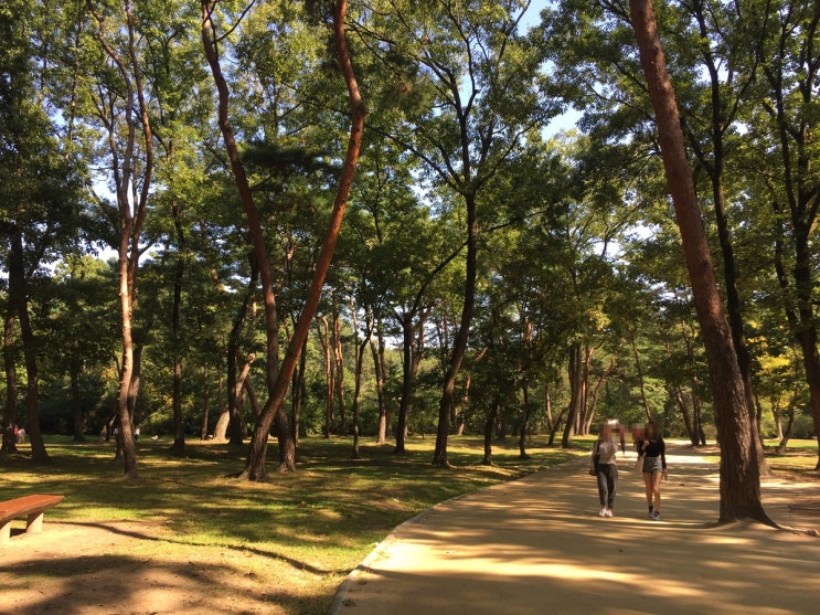 서울근교:산책하기좋은 나들이 데이트코스 융건릉!
