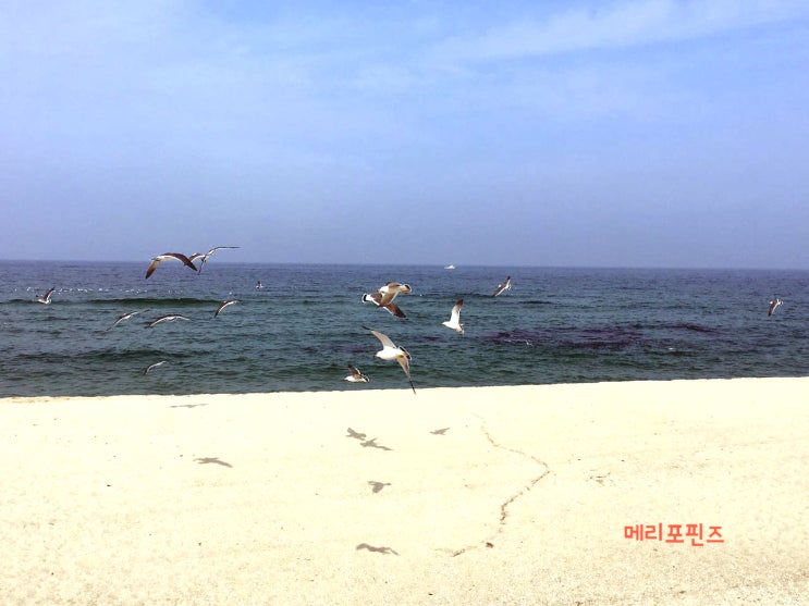  강릉 당일여행 사천해변 라뤼슈 카페 그때가 그리워~