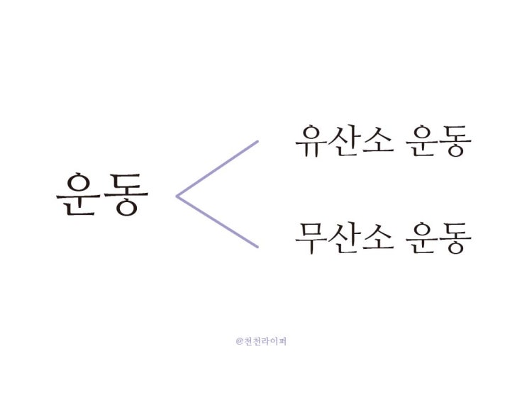  유산소 운동, 그리고 지방연소