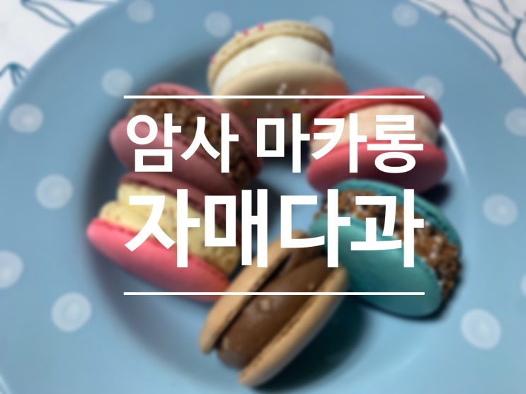  암사 마카롱 디저트 카페 자매다과 :)