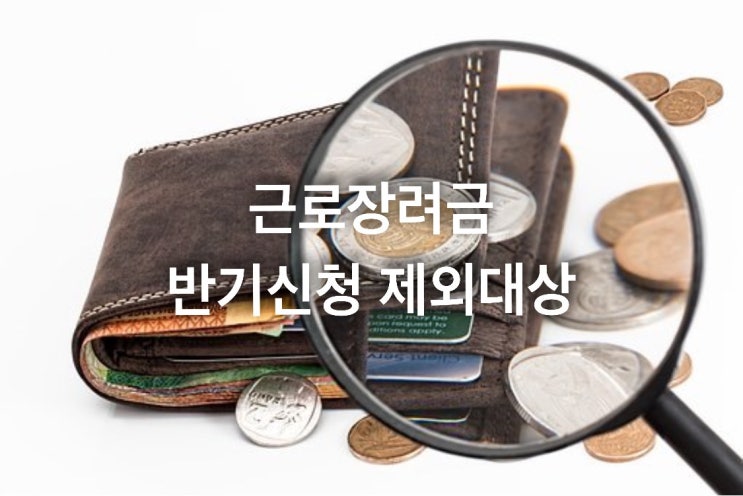  근로장려금 반기신청제외 대상