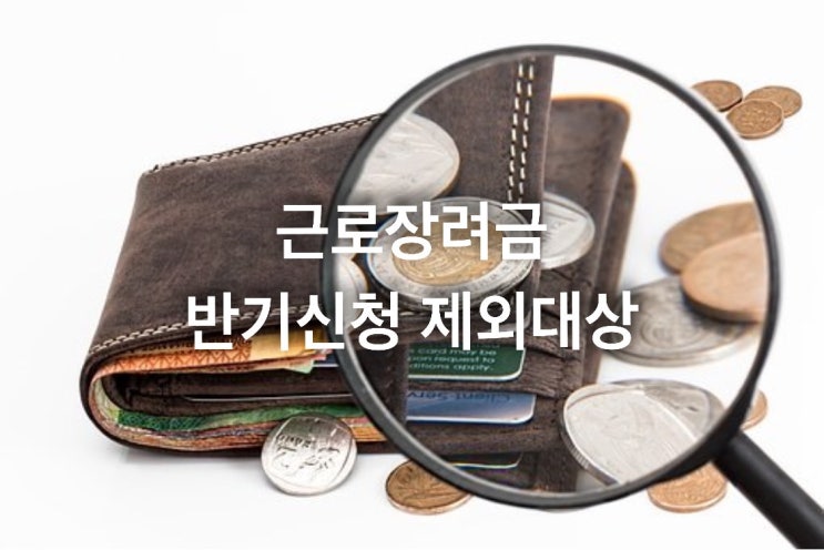 근로장려금 반기신청제외 대상