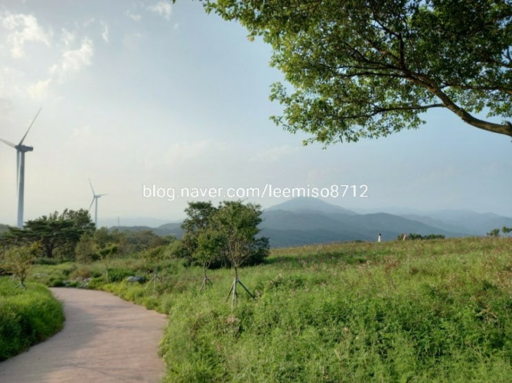 경주 바람의언덕 '나산들공원바람의언덕'
