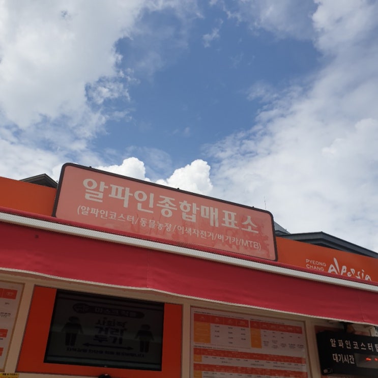  평창 놀거리 추천! 롤러코스터보다 재미있는 알펜시아 알파인코스터