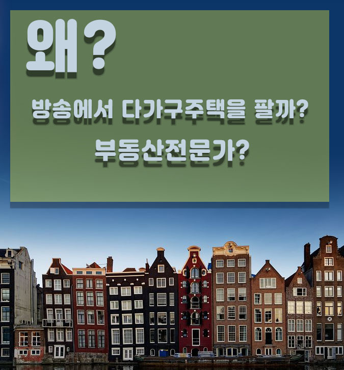  케이블 TV부동산 프로그램 다가구주택 파는사람은 누구일까?