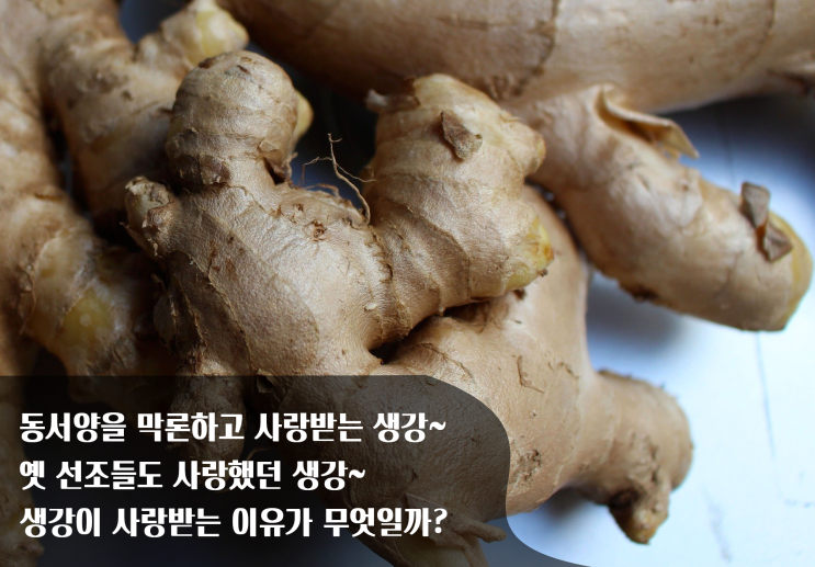  소화가 잘 안된다면 THE '생강'을 드세요~