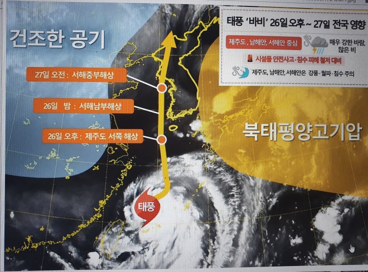  집중호우에 이어 코로나 급증 거기에 태풍까지... 8호 태풍 바비  2019 13호 태풍 링링과 유사