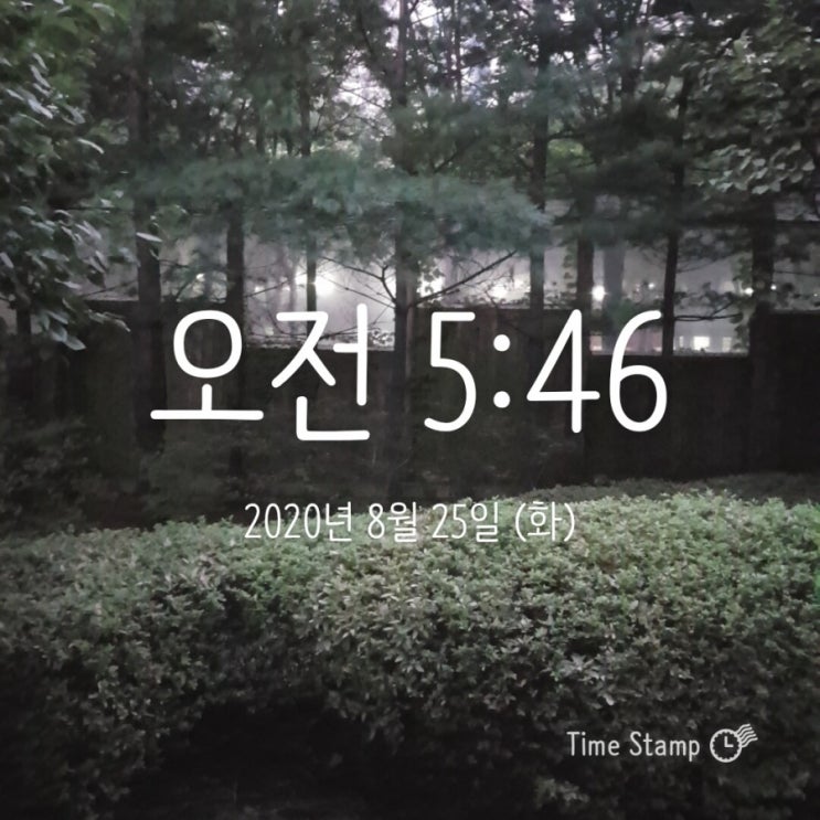  미라클모닝ㅡ모모 0825