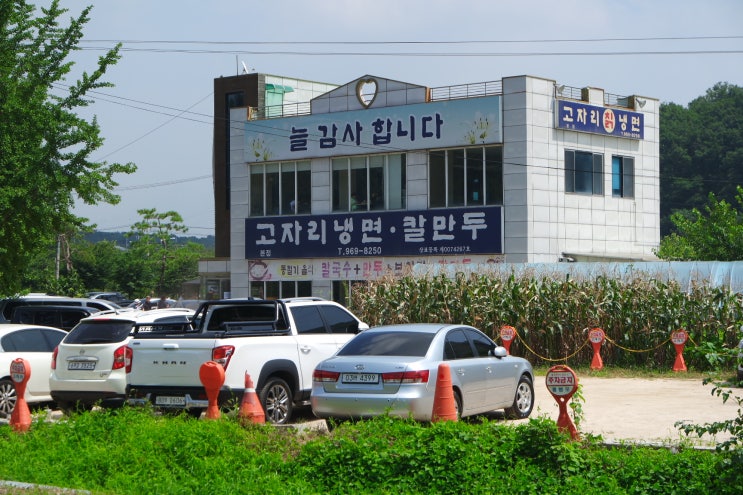  고자리냉면 매력 뿡뿡 생각나는 냉면