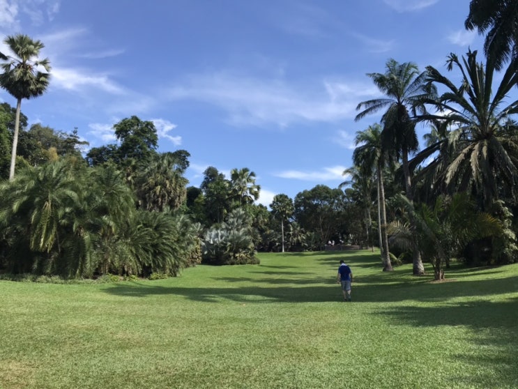  일상 #86 싱가포르 - 보타닉 가든 (Botanic Gardens, 가볼만한 곳, 여행 추천, 유네스코 세계문화유산)