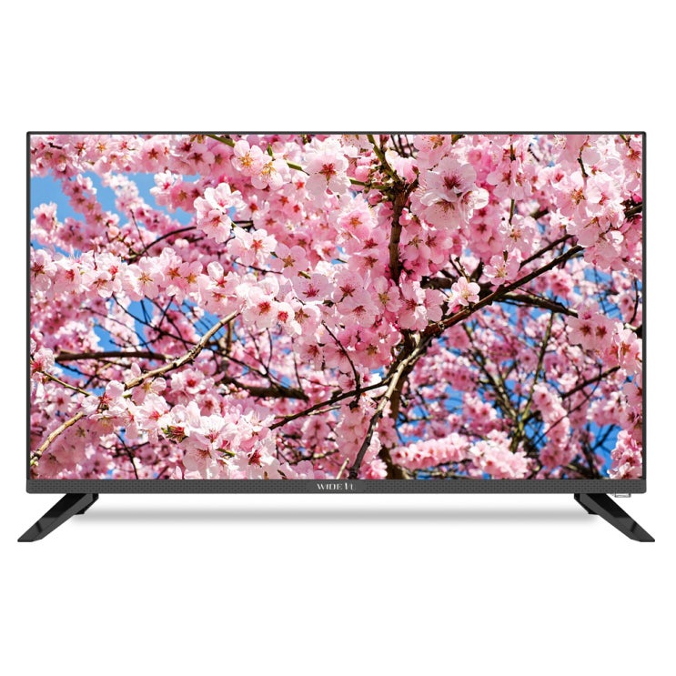 WIDEVU HD 81.3cm TV WV320HD-S02, 스탠드형, WV320HD-S02(무결점)