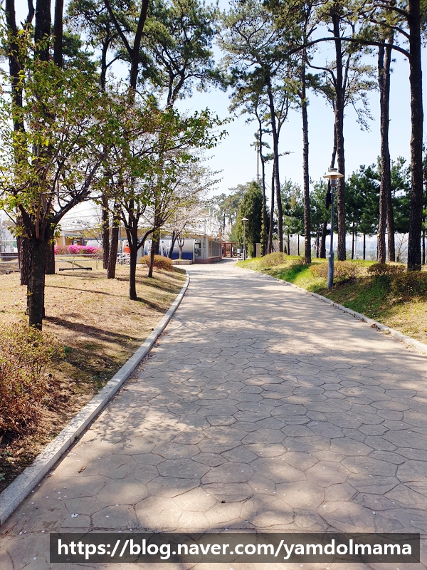  화성 다람산공원 산책하기 좋고 물놀이터 있어 놀러 가기 좋은 곳