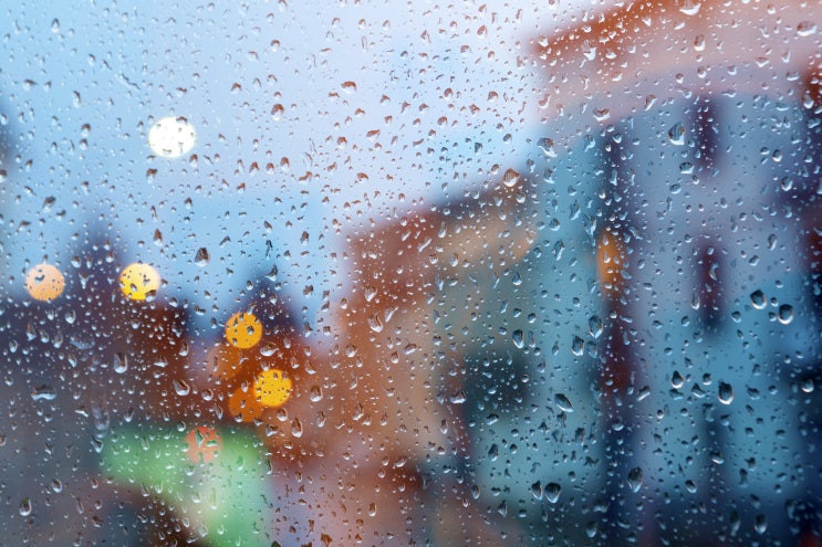  엄청난 바람을 동반한 제8호 태풍 '바비' 태풍 대비 방법!