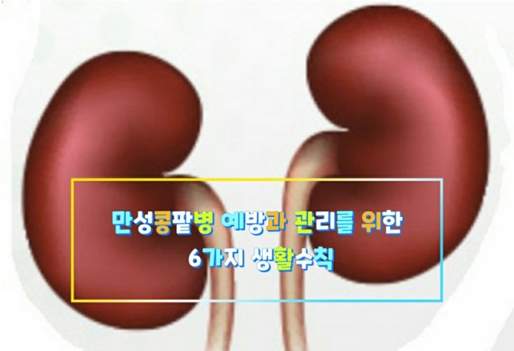 만성콩팥병 예방과 관리를 위한 6가지 생활수칙