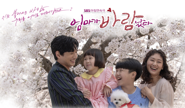  엄마가 바람났다, SBS 아침드라마, 한번 알아볼까요?