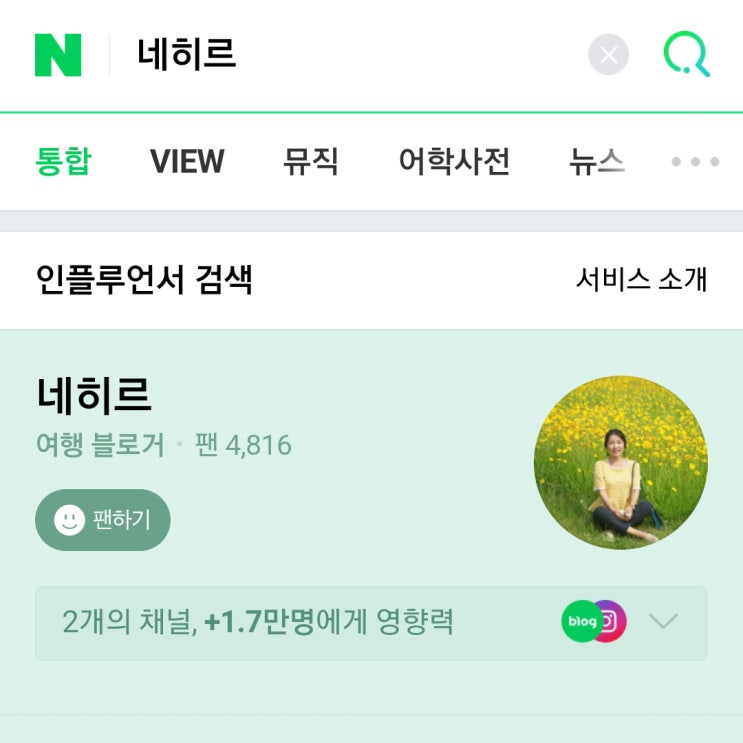  네히르 네이버 검색어 제안 반영 후기