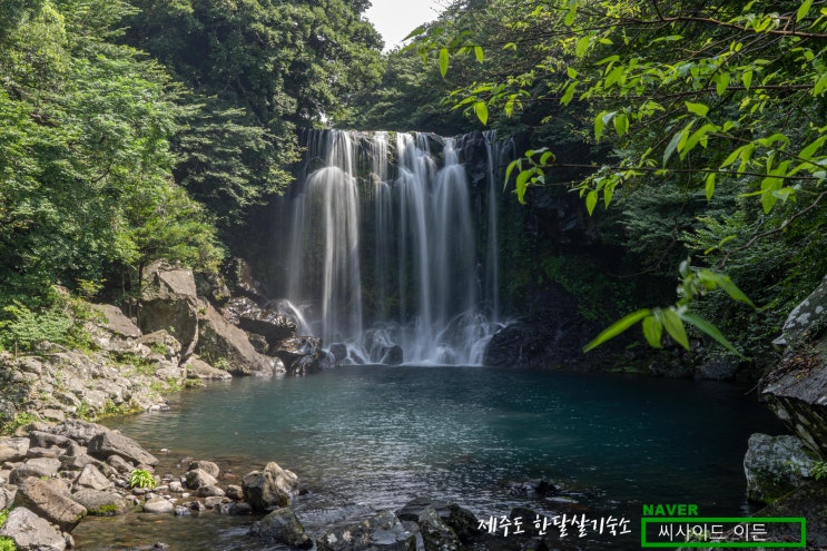 이렇게 좋은덴줄 몰랐다 "천제연폭포" [제주도 한달살기 숙소 씨사이드 이든 추천]