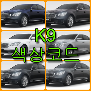 기아 2021 K9 색상코드 확인법과 붓펜(카페인트) 구매-배우는 남자