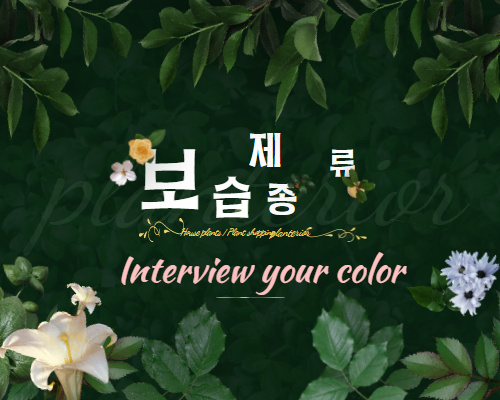  보습제 화장품성분 5가지 효과