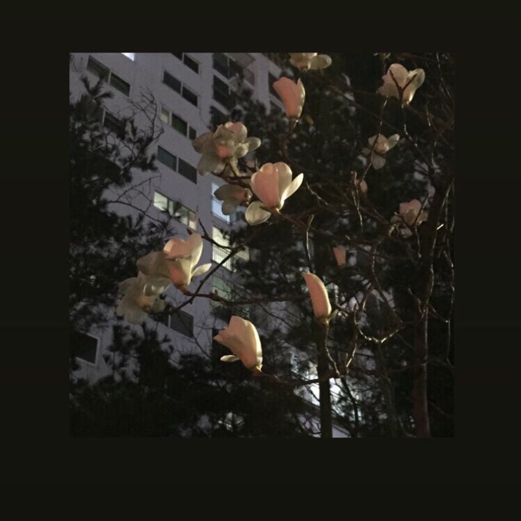  블로그 시작