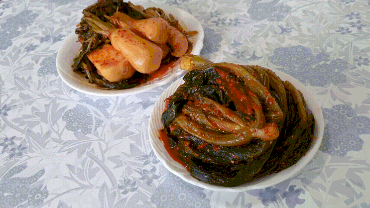 전라도김치추천 갓김치1kg 맛있어요, 딱새우장 전라도김치쇼핑몰 가시내김치 전라도김치추천 갓김치1kg 맛있어요, 딱새우장 전라도김치쇼핑몰 가시내김치