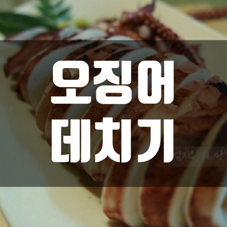 오징어데치기 요리방법과 시간 그리고 오징어 맛있게 먹는 법