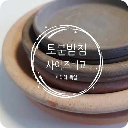 화분 이야기 #1 토분받침 종류별 사이즈 비교(이태리토분 받침, 독일토분 받침/데로마,디그리아,EV)