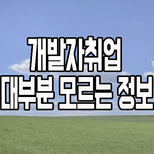  개발자 취업 : SI ? SM ? 솔루션 ? 국비지원과 연계는?