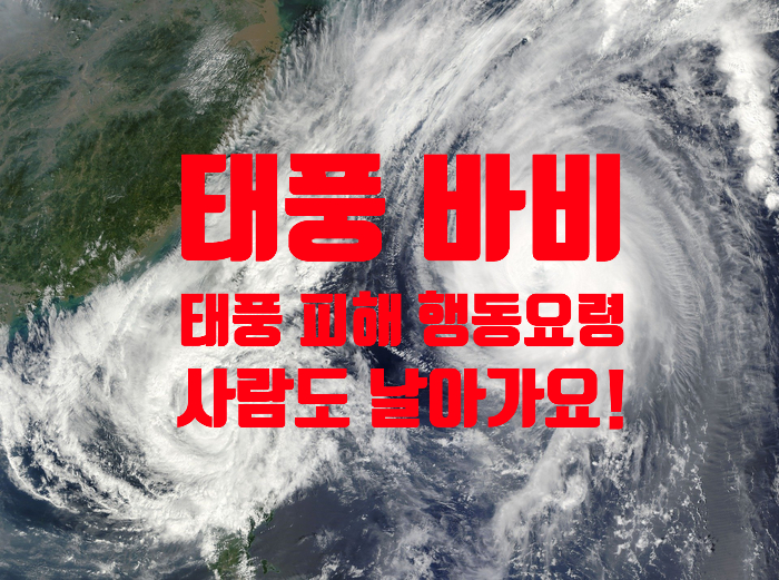  또 태풍? 이번에는 바비(babi)라고!? 경로 알아봅시다!