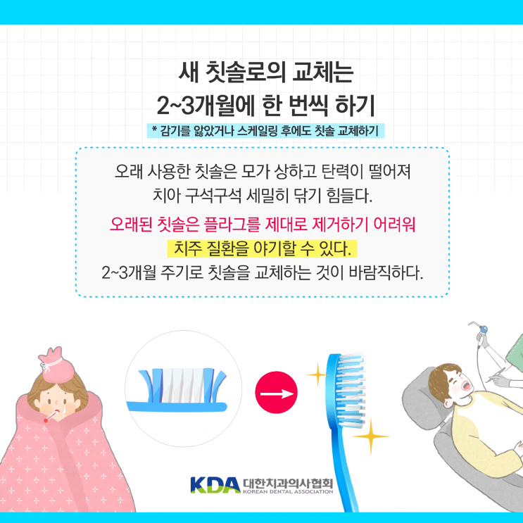  여름철 칫솔 관리법과 교체시기 정확히 알아봐요