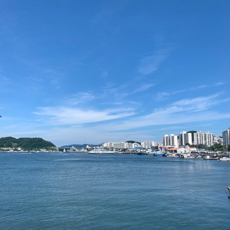  통영 당일치기 여행(통영 팔도식당, 동피랑, 서피랑, 포지티비즈 통영, 남망산 조각공원)