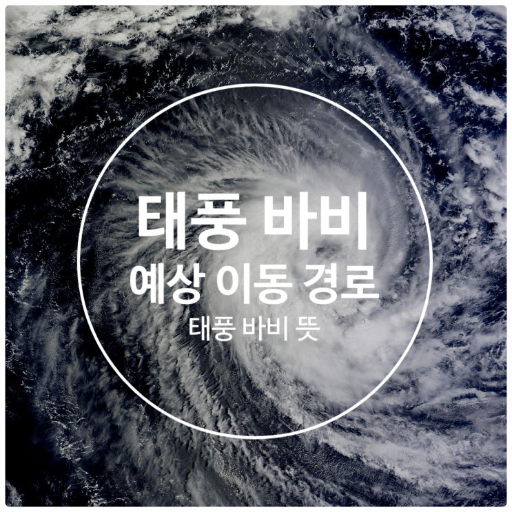 2020년 제8호 태풍 바비 예상 경로 또 수정, 제주도 날씨는? 2020년 제8호 태풍 바비 예상 경로 또 수정, 제주도 날씨는?