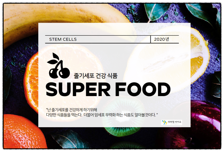  줄기세포 강화하는 음식 추천!