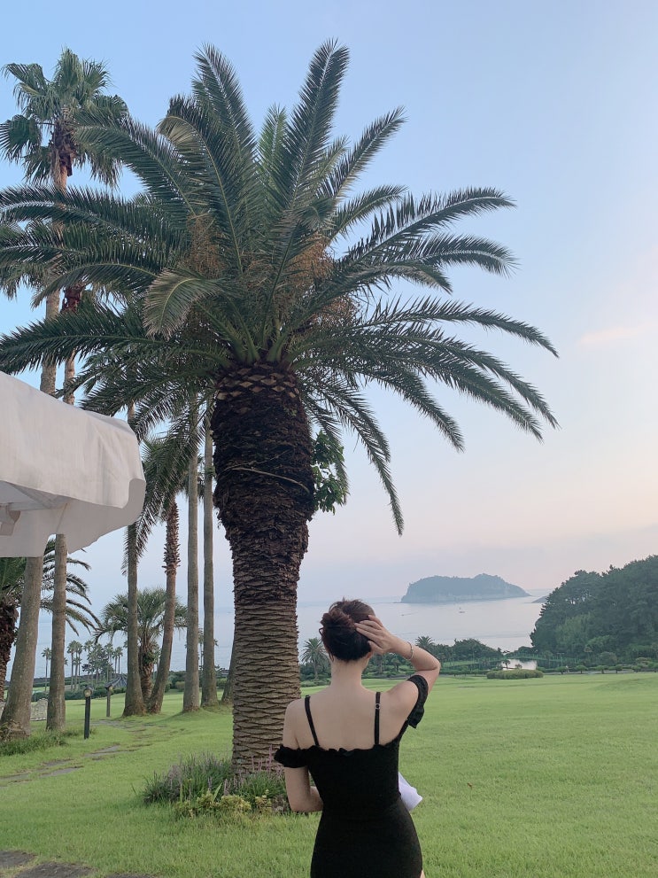  [제주도] 4박 5일 여름휴가 : 우도 블랑로쉐 스쿠터 렌탈 서귀포 칼호텔 수영장 흑돼지 맛집