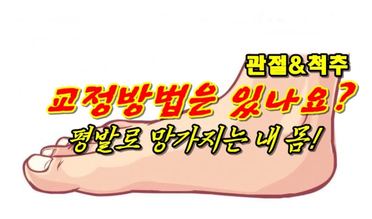 평발 교정 24HRS 기능성신발 깔창 24